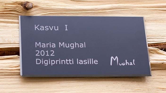 Kasvu 1, Mughal