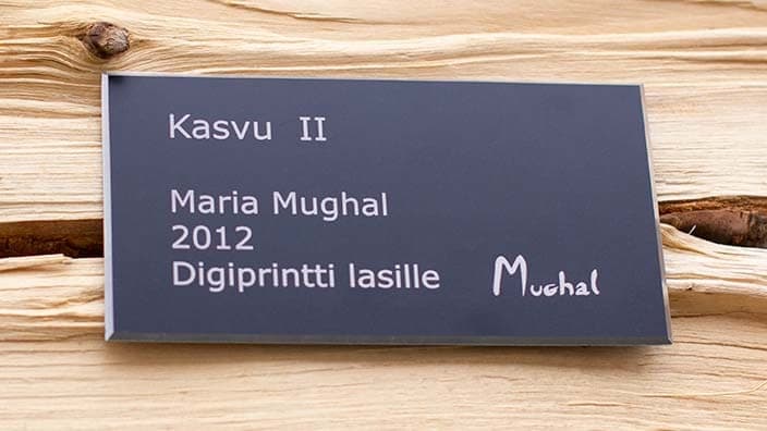 Kasvu 2, Mughal