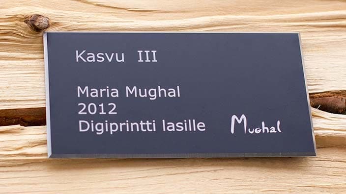 Kasvu 3, Mughal